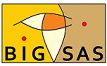 Logo der BIGSAS